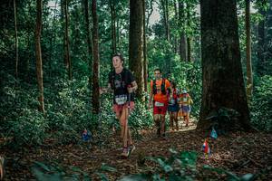 BIB: 
                            <button type="button" onclick="openModal(26130347)" class="btn btn-primary btn-sm float-right btn-popup" data-toggle="modal" data-target=".modal-high-quality">
                        <i class="fas fa-shopping-cart"></i> Add to Cart
                    </button>
                                            <button type="button" onclick="isThisMe(26130347, true)" class="btn btn-success btn-sm float-right btn-popup btn-isme hidden" data-toggle="tooltip" data-placement="bottom" title="นี่คือรูปของคุณใช่ไหม คลิกที่นี่เพื่อเอาเข้าอัลบั้ม">
                        <i class="fas fa-plus"></i> Add to album
                    </button>
                    <button type="button" onclick="isThisMe(26130347, false)" class="btn btn-warning btn-sm float-right btn-popup btn-isnotme hidden">
                        <i class="fas fa-ban"></i> Remove from album
                    </button>